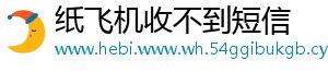 纸飞机收不到短信